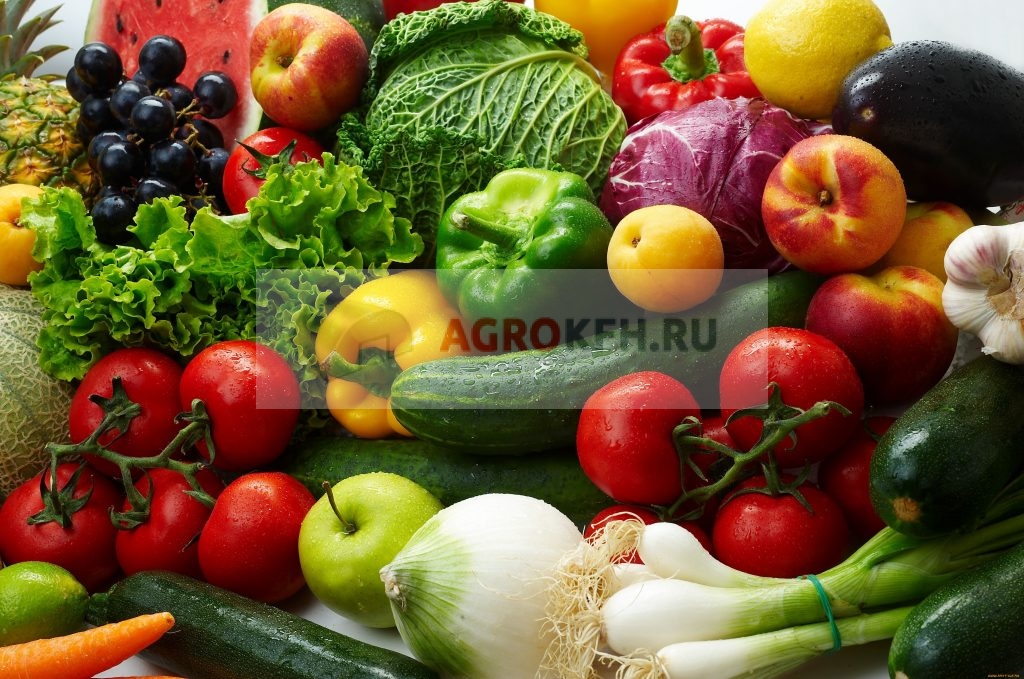 состав среды для хранения овощей и фруктов