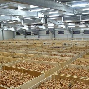 Картофелехранилище на 500 тонн