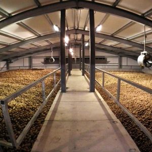 Картофелехранилище на 1000 тонн